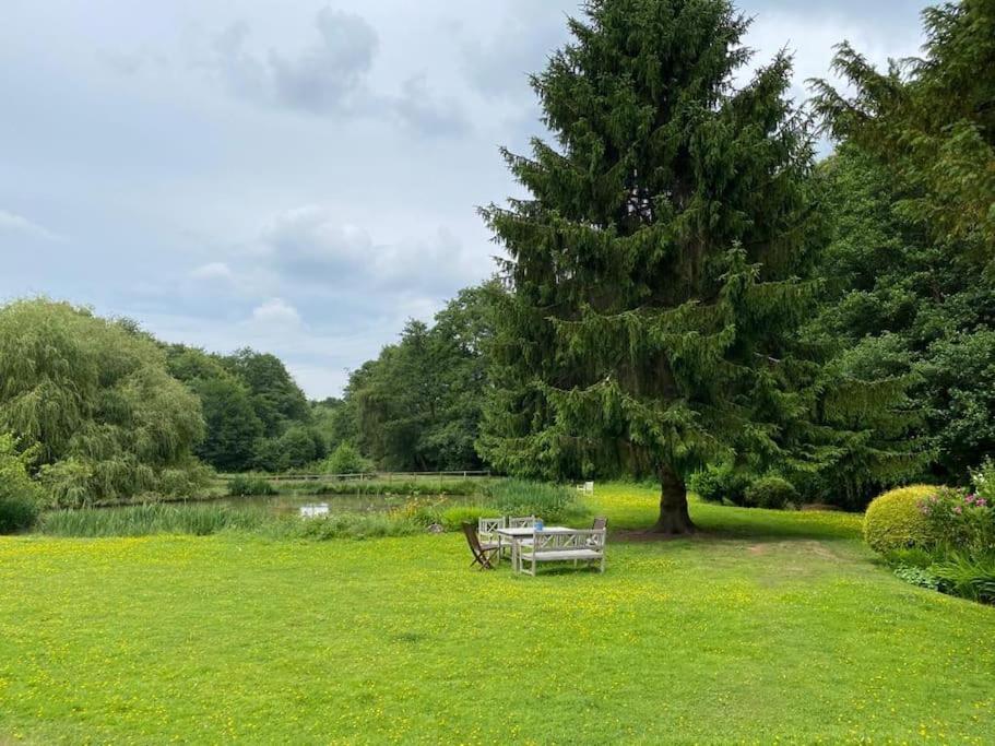 Halfmoon Lodge @ Knights Hole Wheelchair Access Cranbrook Bagian luar foto