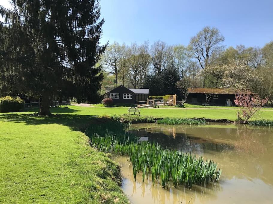 Halfmoon Lodge @ Knights Hole Wheelchair Access Cranbrook Bagian luar foto
